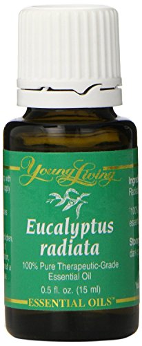 Eucalyptus Radiata Young Living Essential Oils 15 ml KOSHER Certified New by Young Living