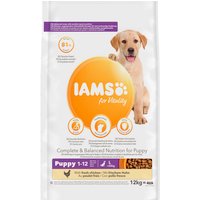 IAMS for Vitality Junior Hundefutter trocken - Welpenfutter für Welpen im Alter von 1-12 Monaten, geeignet für große Rassen, 12 kg