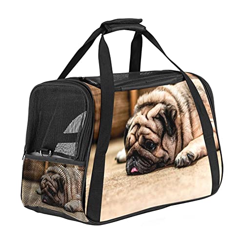 Xingruyun Hundetragetasche Fauler Mops Katzentragetasche Faltbare Transporttasche Atmungsaktiv Haustiertasche Für Katzen Und Hunden 43x26x30 cm