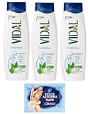 Felce Azzurra 3er-Pack Vidal Shampoo Antiforfora Capelli Normali,Anti-Schuppen-Shampoo für normales Haar,250ml