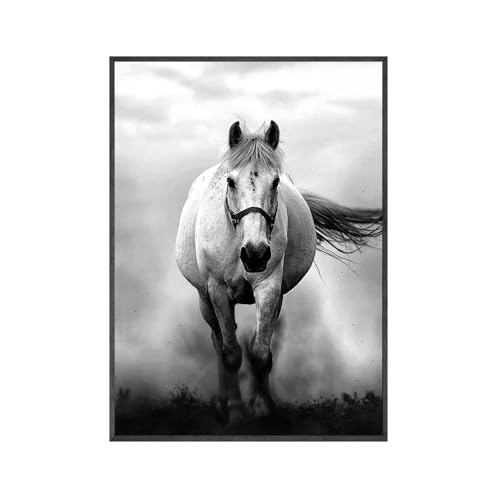 Schwarz-Weiß-Pferd Wandkunst Leinwand Gemälde Modern Tier Leinwand Poster Bilder for Wohnzimmer Wohnkultur (Color : C, Size : 50x70CM No Frame)