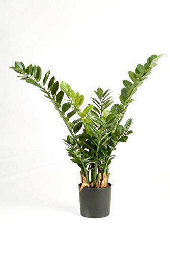 artplants.de Deko Smaragd Zamioculcas AKONO, 201 Blätter, 90cm - Kleiner Dekobaum - Kunstpflanze