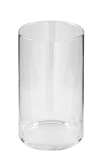 Fink EZ-NAPA/Glaszylinder m. Boden/H.24cm,D.15cm