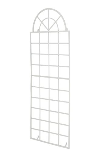CLP Wand-Rankgitter Viva mit Rahmen I Rankgitter aus Eisen zur Wandbefestigung I erhältlich, Farbe:weiß
