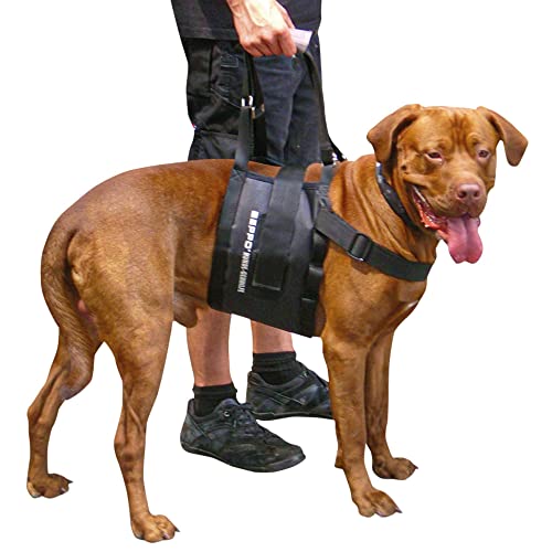 Schecker Beppo® Hunde - Gehhilfe - Tragehilfe - für mittelgroße oder große Hunde geeignet - Unisex