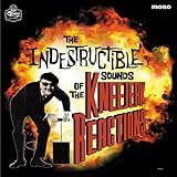 The Indestructible Sounds of... [Vinyl LP]