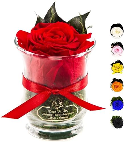 Rosen-Te-Amo - 1 Premium haltbare rote Rose in der Vase mit echten Bindegrün; Konservierte Rose im Glas: Blumenstrauß 3 Jahre haltbar ohne Wasser