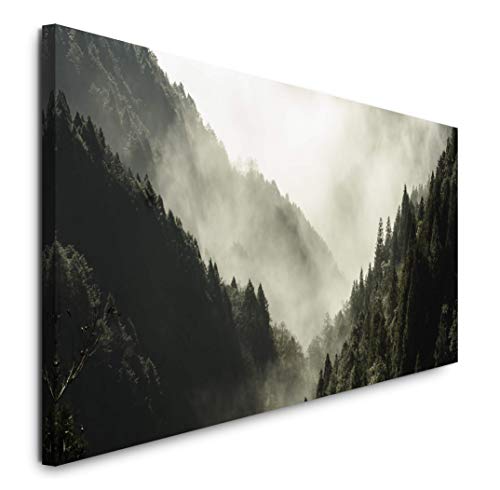 Paul Sinus Art GmbH Wald mit Nebel 120x 50cm Panorama Leinwand Bild XXL Format Wandbilder Wohnzimmer Wohnung Deko Kunstdrucke