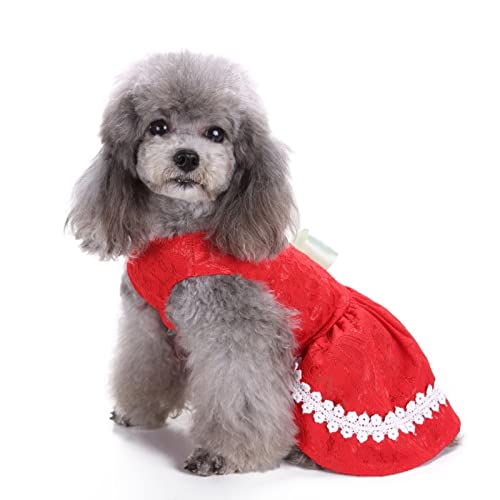 SUSOSU Haustier Kleidung Hunderock Wasserdruck Hundekleidung Rock Kleider für Kleine Mädchen Hunde Niedliche Haustierkleidung,Red 6,XS