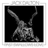 Past Swallows Love [Vinyl LP]