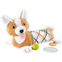 Fisher-Price HJW10 - Baby-Spielzeug zum Spielen in der Bauchlage, 3-in-1 Hündchen Spielkissen mit BPA-freiem Beißring, Rassel und Spiegel-Spielzeug, für Kleinkinder ab der Geburt