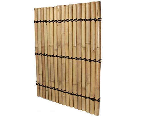 Bambus Sichtschutzzaun Apas4 gelblich, 150 x 120cm von Bambus-Discount