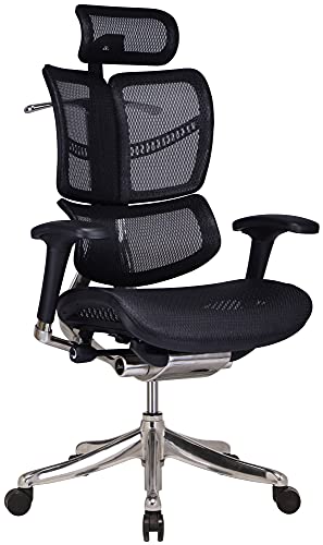 CLP Bürostuhl Norfolk Ergonomic I Ergonomischer Schreibtischstuhl I Kopfstütze, Farbe:schwarz