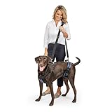 PetSafe CareLift Hebegeschirr für Hunde, Zur Unterstützung Ihres Hundes bei Stufen und Ein- und Aussteigen, Größe M