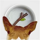 Suck UK Hundenapf | Hunde Wassernapf mit 3D Stick | Hundenäpfe für Wasser | Keramik Hundenapf | Neuheit Hundespielzeug & Hundezubehör | Hundespielzeug Welpennapf toll für den Hund Geburtstag |
