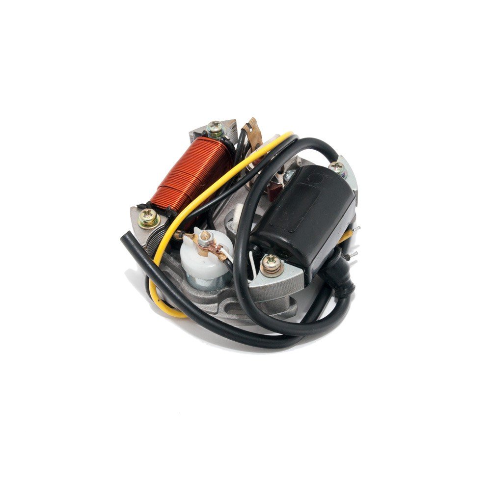 Lichtmaschine / Zündung 6V 15W für Maxi Mofa