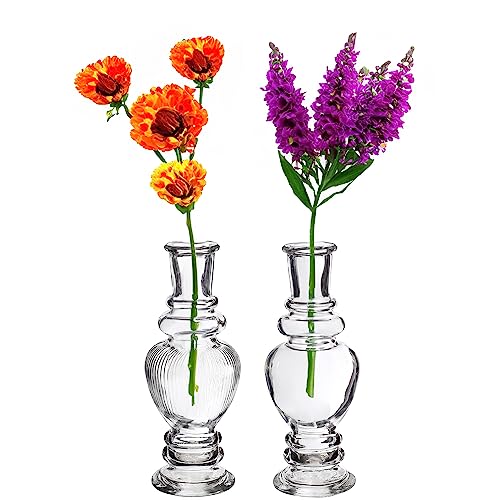 12 x Vasen aus Glas für eine stilvolle Tischdeko - Glasvasen Hochzeit - Blumenvase Vintage - Tischvase für Festlichkeiten - Kleine preiswerte Vasen aus Glas (Venezia groß (H 15,5 - Ø 5,7 cm))