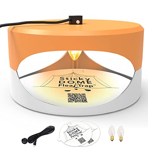 ASPECTEK - Trapest Sticky Dome Flea Bed Bug Trap with 2 Glue Discs. Odorless Cleaner and Flea Killer Trap Pad (Flea Trap) (1 Flea Trap Orange and White)