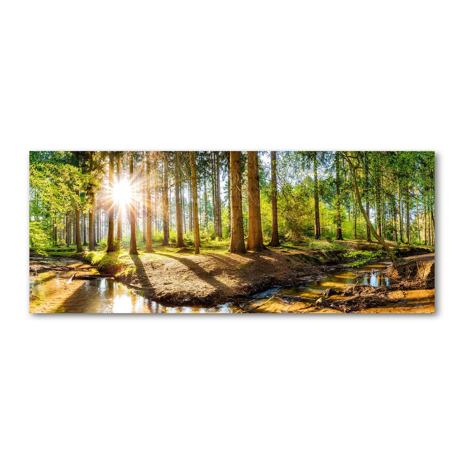 Tulup Glas-Bild Wandbild aus Glas - Wandkunst - Wandbild hinter gehärtetem Sicherheitsglas - Dekorative Wand für Küche & Wohnzimmer 125x50 - Landschaften - Wald Panorama - Grün