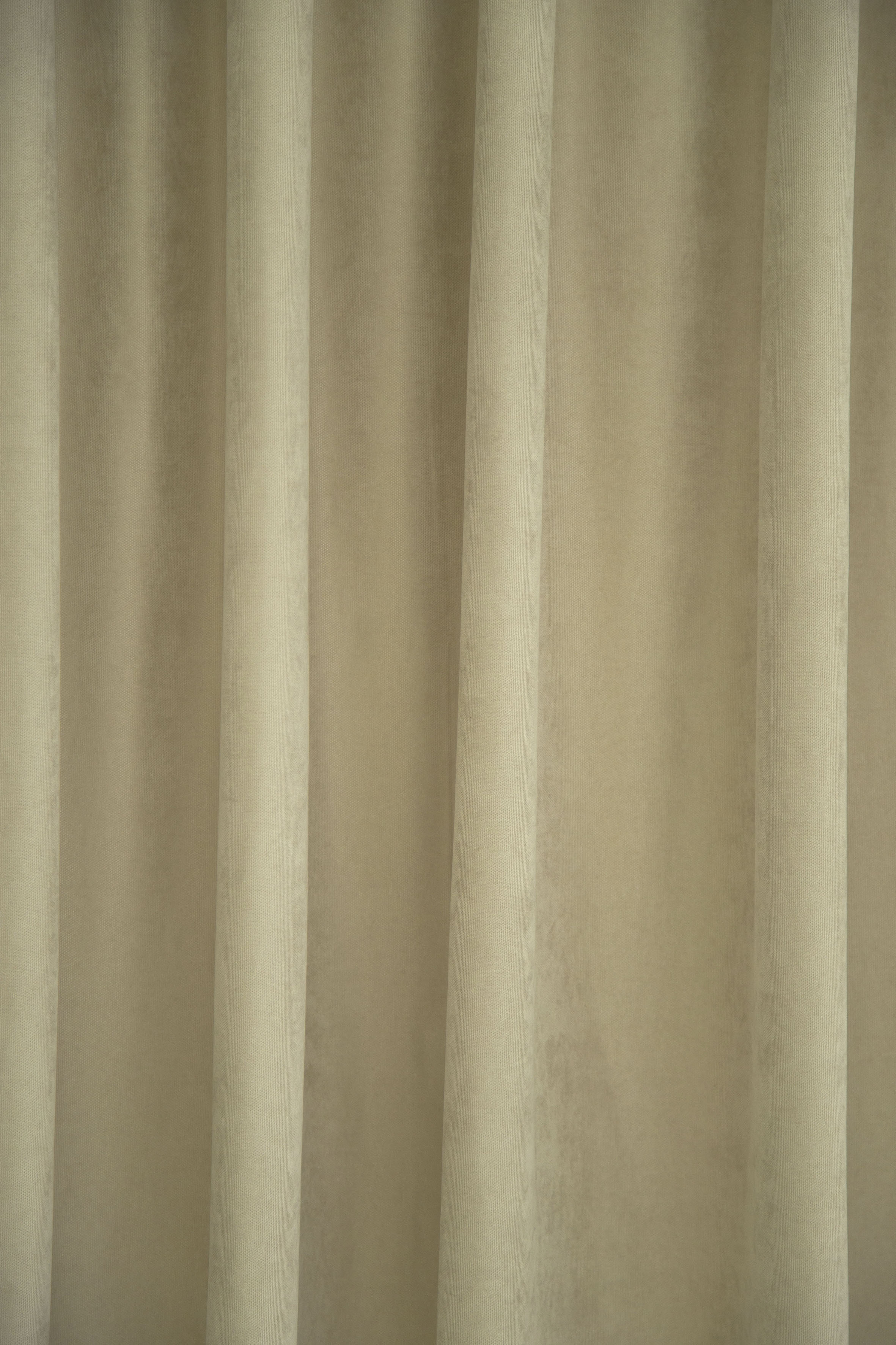 HOMING Vorhang "Brando", (1 St.) 3