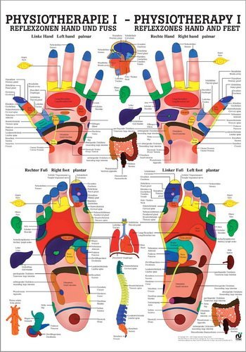 Ruediger Anatomie PHYS I LAM Reflexzonen Hand und Fuß Tafel, 50 cm x 70 cm, laminiert