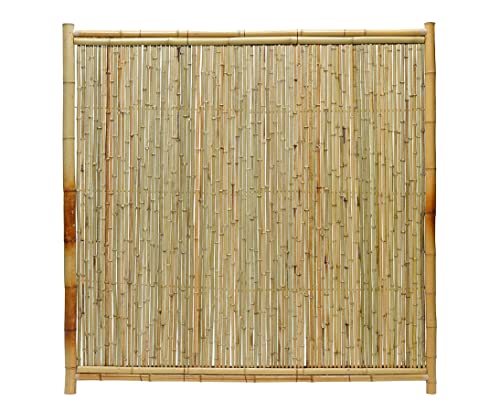 Bambuswand Sichtschutzwand Ten New Line9 180 x 180cm geschlossen mit Bambusrohr Füllung und Rahmen aus Bambus