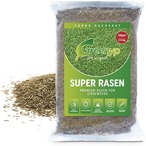 Greenyp Super Rasen I sattgrüner Premium Zierrasen Nachsaat I Traumrasen Grassamen Rasensamen Rasensaat Gras besonders schnellkeimend 2,5kg für 100m²