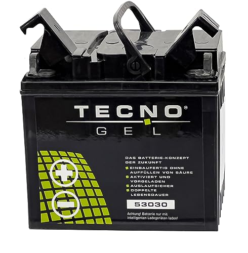 TECNO-GEL Motorrad Qualitäts Batterie 53030 für BMW R 80, G/S, GS, GS PD, GS/2, R, RT, RT/2, ST Mono- u. Paralever 1980-1998, 12V Gel-Batterie 30Ah, 187x130x170 mm inkl. Pfand