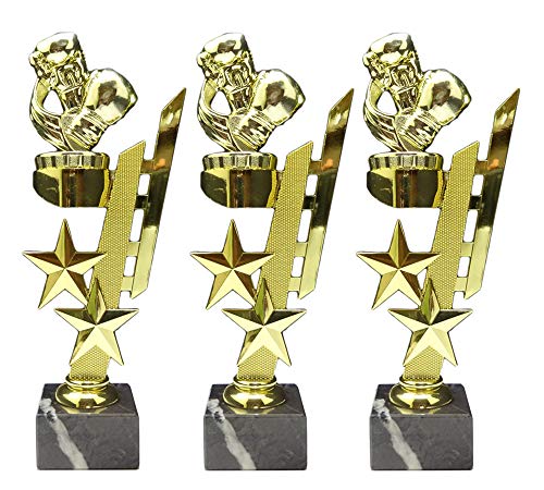 RaRu 3 Boxen/Boxer-Pokale (Sternenhalter) mit Ihrer Wunschgravur