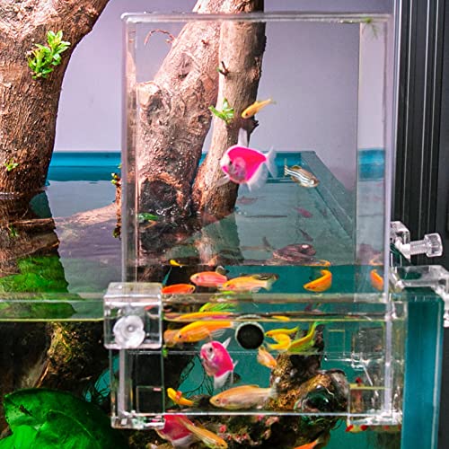 wirlsweal Fischturm, transparenter, sichtbarer, verschleißfester Aquarium-Vakuum-Fischturm über dem Wasser mit Druckknöpfen, Aquarium-Dekoration Transparent