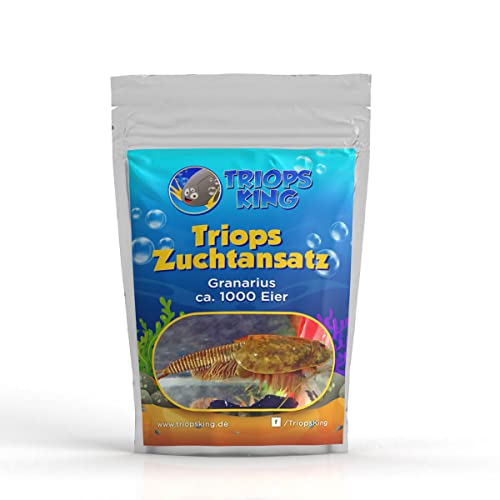 Triops Granarius Zuchtansatz 1000 Eier