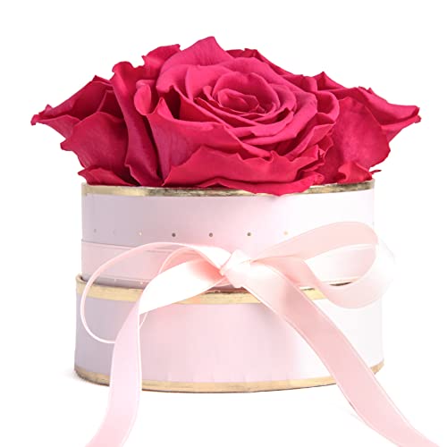ROSEMARIE SCHULZ Heidelberg Flowerbox rund Infinity Rosen - Blumenbox in Rosa 4 konservierte Rosen (Rosa-Pink)