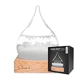 mikamax - Wettervorhersage Glas - Storm Glass Drop Mini - Barometer - Wetterstation - mit Hölzer Stand - Maße 8 x 8 x 13,5 cm - Geschenk für Männer und Frauen