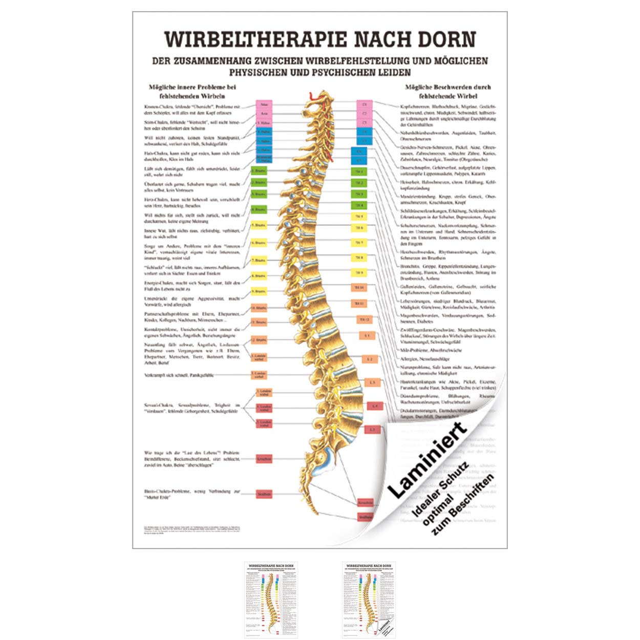 Rüdiger Wirbeltherapie nach Dorn Poster Anatomie 70x50 cm medizinische Lehrmittel