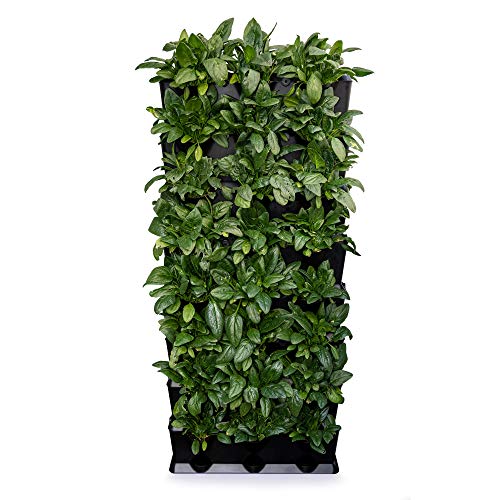 Minigarden Vertical Kitchen Garden für 24 Pflanzen, Tropfbewässerungs-Kit enthalten, freistehend am Boden aufstellbar oder zur Wandmontage, Lange Lebensdauer (Schwarz)