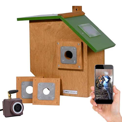 dobar® Großer Nistkasten Flachdach aus Holz inklusive HD WiFi-Kamera und App mit austauschbaren Einfluglöchern - 35,5 x 22,5 x 38,5 cm - Grün-Braun