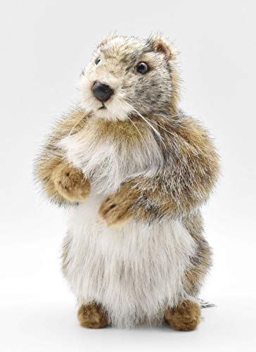 Hansa – Plüschtier Marmotte 25 cm H