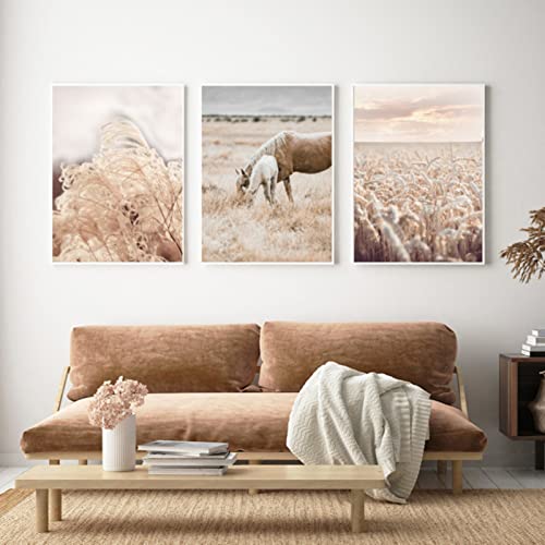 EXQUILEG Premium 3er Poster Set, Bilder Wohnzimmer Beige Pampas Modern Schlafzimmer Bild Set für Ihre Wand - Ohne Rahmen - Bilder Set (A,50x70cm)