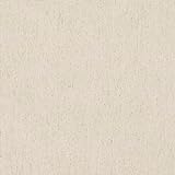 Kt KILOtela Canvas-Stoff, einfarbig, Baumwolle, Leinen, Polyester, Lichtechtheit: 5-6, 300 cm Länge x 280 cm Breite | Beige Leinen 3 Meter