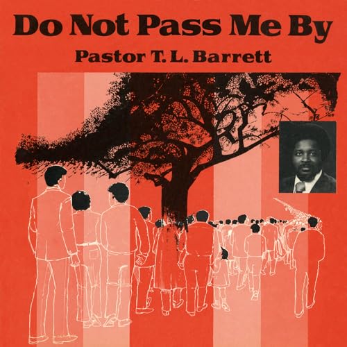 Do Not Pass Me By Vol.1 [Vinyl LP]