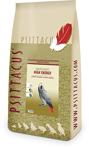 Psittacus - Hohe Energie