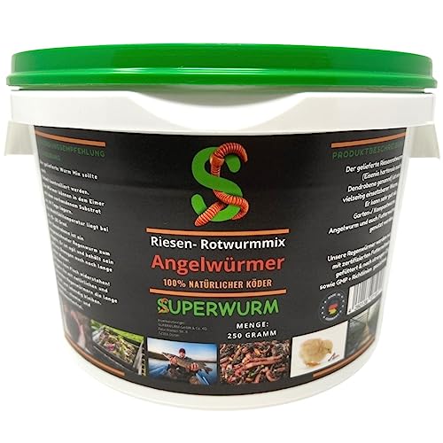 Angelwurm-Mix 250g (ca.300 St.) - Der Riesen-Rotwurmmix mit lebenden Angelwürmern I Angelwürmer für EIN erfolgreiches Angelerlebnis mit hoch aktiven Lebendköder, Laubwurm, Dendrobena, Rotwurm