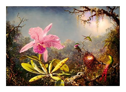 Bluebird Puzzle - Cattleya Orchid and Three Hummingbirds, Martin Johnson Heade - 1000 Teile - (60097)