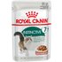 Royal Canin Instinctive +7 in Soße - Sparpaket: 24 x 85 g