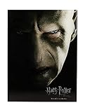 Harry Potter - Impression en Verre - Voldemort Face- 30X40 cm