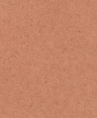Rasch Tapete 520880 - Rost-Rote Vliestapete mit Betonoptik aus der Kollektion Concrete - 10,05m x 0,53m (LxB)