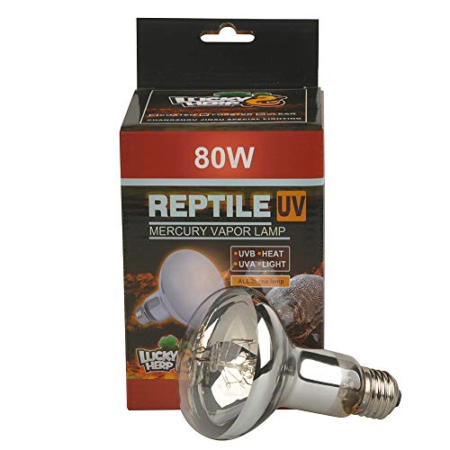 Lucky Herp Reptile UVA UVB Quecksilberdampf-Glühbirne für Reptilien, 80 W, R80, E27 Gewinde, transparent