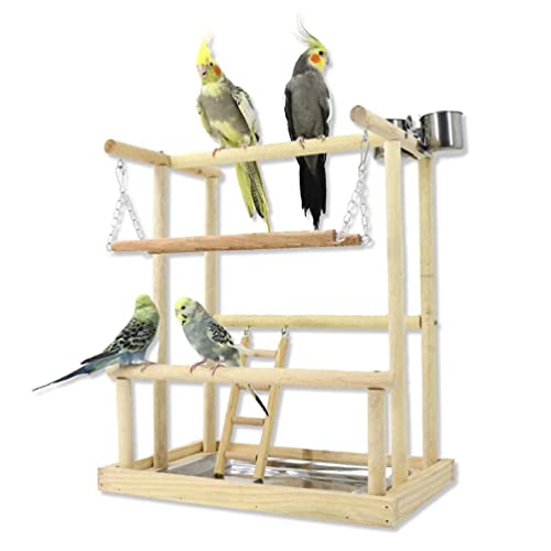 Bird Gym Birdcage Stands Barsch Gym Bird Playground Parrot Stand Bird Toy Parrot Toy Bird Barch Stand Papagei Spielplatz