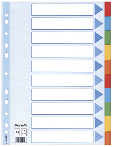Leitz 100193 Kartonregister Standard Blanko, A4, 10 Blatt mit farbigen Taben, weiss (20er Pack, 10-teilig)