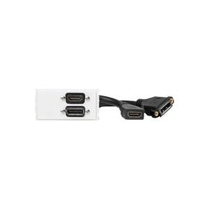 VivoLink - Anschlüsse - geeignet für Wandmontage - HDMI, DisplayPort